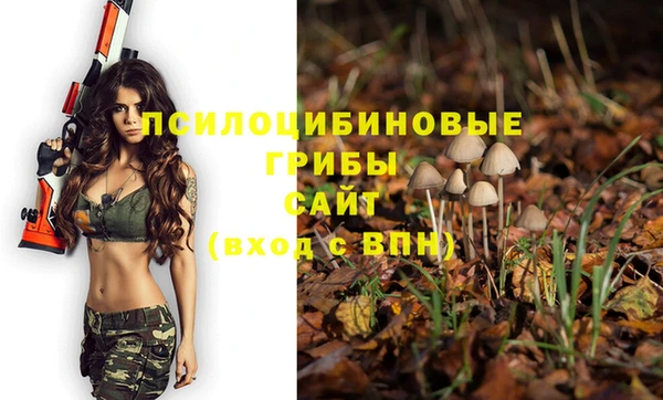 apvp Верхний Тагил