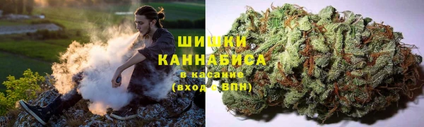 apvp Верхний Тагил